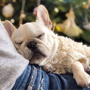 Max Bone Curly Knit dog jumper L